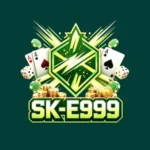 sk e999 game